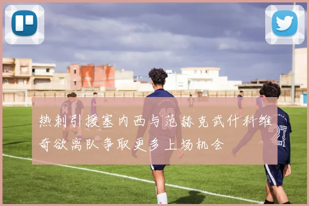 热刺引援塞内西与范赫克武什科维奇欲离队争取更多上场机会
