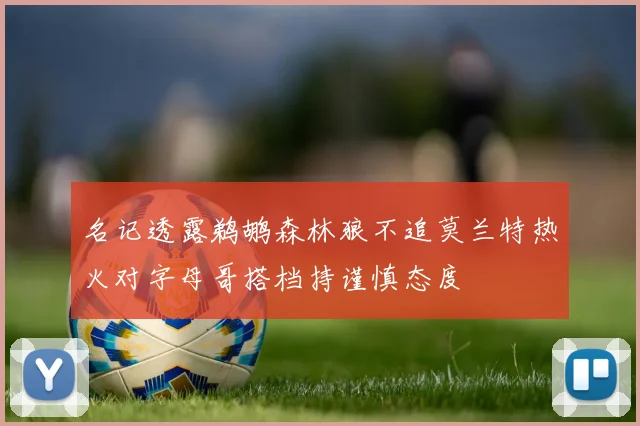 名记透露鹈鹕森林狼不追莫兰特热火对字母哥搭档持谨慎态度